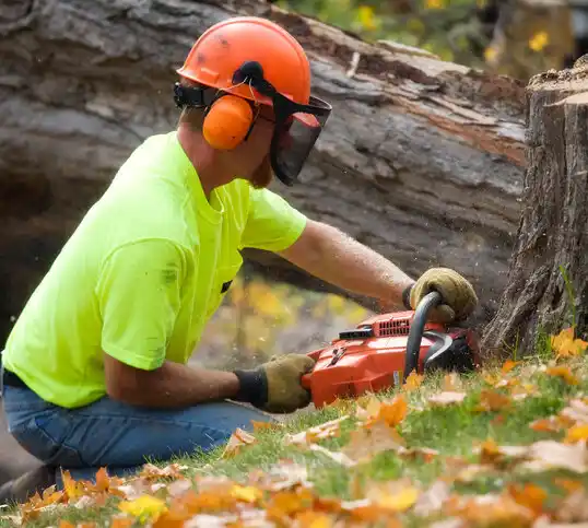 tree services White Plains